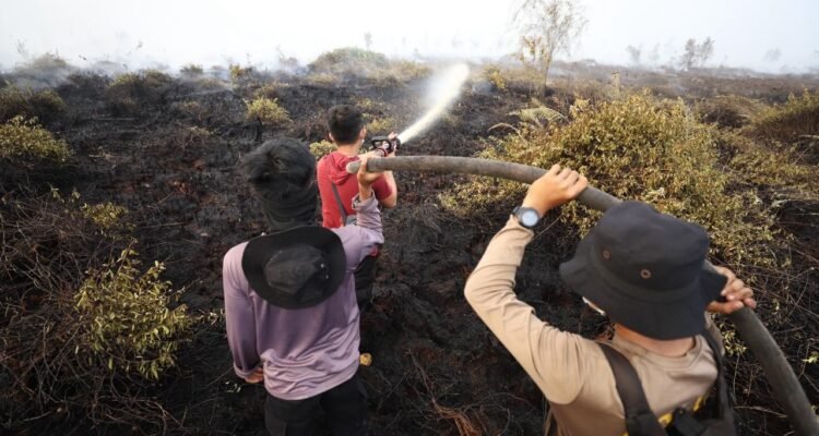 FOTO 1 Agustus_Kebakaran di Kalimantan