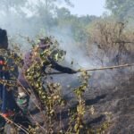 FOTO 10 Agustus_Tim BPBD Kabupaten Banyumas berupaya memadamkan api dengan peralatan sederhana.