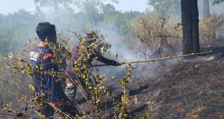 FOTO 10 Agustus_Tim BPBD Kabupaten Banyumas berupaya memadamkan api dengan peralatan sederhana.