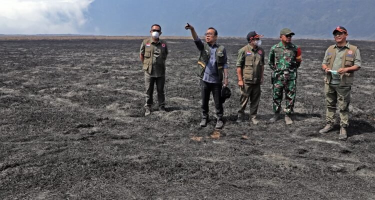 FOTO 11 Agustus_Peninjauan lokasi terdampak karhutla di Taman Nasional Bromo Tengger Semeru (TNBTS) oleh Kepala Badan Nasional Penanggulangan Bencana (BNPB) Letjen TNI Suharyanto