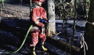FOTO 11 Agustus_Upaya petugas gabungan memadamkan api di Dusun Waililan, Negeri Bula, Kecamatan Bula, Kabupaten Seram Bagian Timur, Prov Maluku
