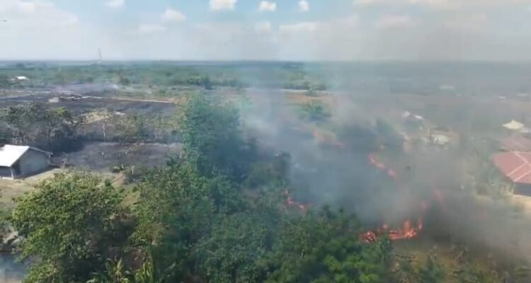 FOTO 12 Agustus_Kebakaran hutan dan lahan (karhutla) yang melanda wilayah Kabupaten Sidenreng Rappang, Provinsi Sulawesi Selatan.