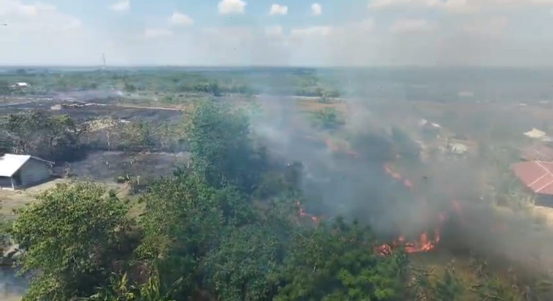 FOTO 12 Agustus_Kebakaran hutan dan lahan (karhutla) yang melanda wilayah Kabupaten Sidenreng Rappang, Provinsi Sulawesi Selatan.