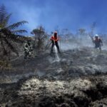 FOTO 12 Agustus_Petugas gabungan memadamkan dan mendinginkan kebakaran hutan, serta lahan di Taman Nasional Bromo Tengger Semeru, Jawa Timur. 3