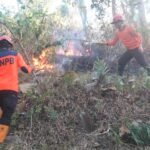 FOTO 12 Juli_Tim gabungan memadamkan kebakaran hutan dan lahan (karhutla) di wilayah Kabupaten Trenggalek, Jawa Timur. bpbd