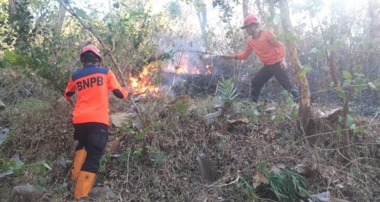 FOTO 12 Juli_Tim gabungan memadamkan kebakaran hutan dan lahan (karhutla) di wilayah Kabupaten Trenggalek, Jawa Timur. bpbd