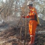 FOTO 13 Agustus_BPBD Kabupaten Klaten memadamkan dan mendinginkan kebakaran hutan dan lahan di Kabupaten Klaten, Provinsi Jawa Tengah. bpbdkab
