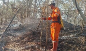 FOTO 13 Agustus_BPBD Kabupaten Klaten memadamkan dan mendinginkan kebakaran hutan dan lahan di Kabupaten Klaten, Provinsi Jawa Tengah. bpbdkab