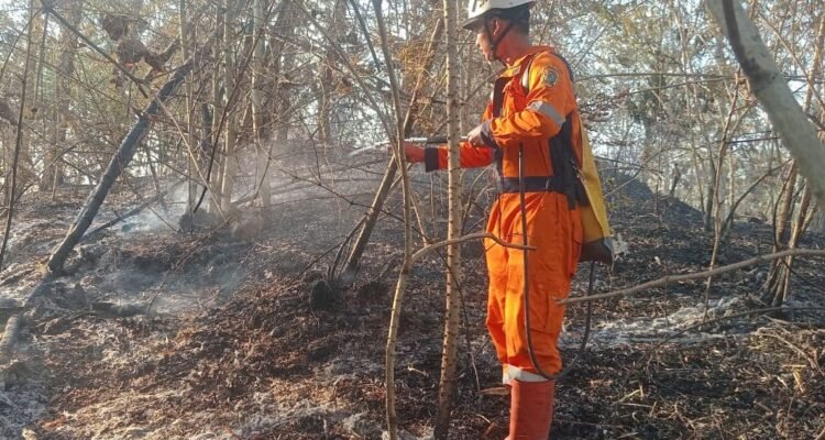 FOTO 13 Agustus_BPBD Kabupaten Klaten memadamkan dan mendinginkan kebakaran hutan dan lahan di Kabupaten Klaten, Provinsi Jawa Tengah. bpbdkab