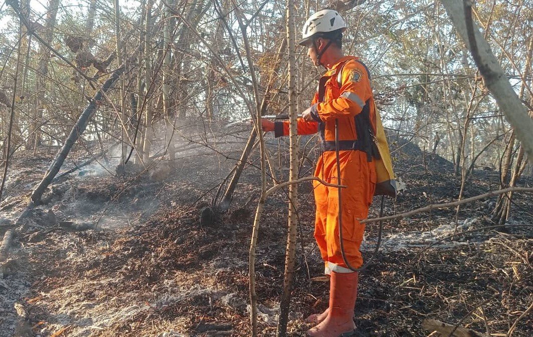 FOTO 13 Agustus_BPBD Kabupaten Klaten memadamkan dan mendinginkan kebakaran hutan dan lahan di Kabupaten Klaten, Provinsi Jawa Tengah. bpbdkab