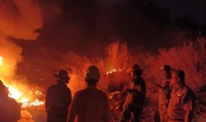 FOTO 13 Agustus_Petugas Disdamkarmat Kabupaten Bandung memadamkan kebakaran lahan di Gunung Paseban, Kabupaten Bandung, Jawa Barat. pemkabbandung