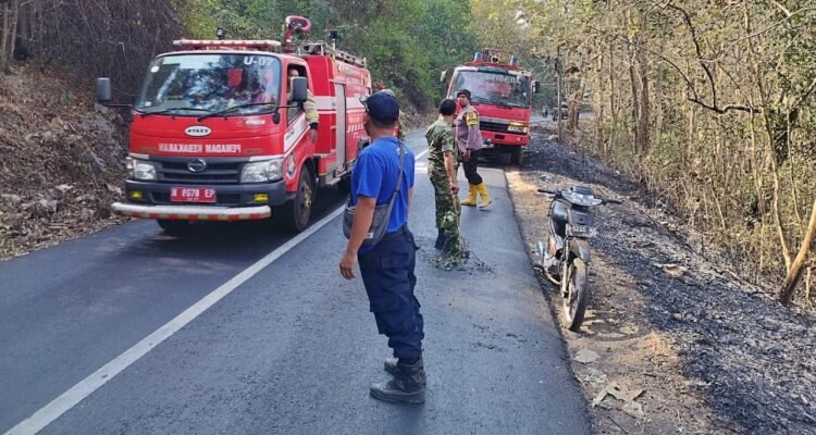 FOTO 15 Agustus_Petugas pemadam kebakaran di lahan perkebunan jati milik Perhutani pada Petak GHI Gunung Geger Sumberejo, Kec Pagak, Kab Malang. bpbdkab 1