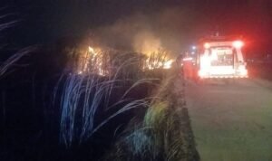 FOTO 16 Agustus_Kebakaran lahan yang terjadi di beberapa wilayah Kabupaten Klaten, Provinsi Jawa Tengah. dok. bpbdkab
