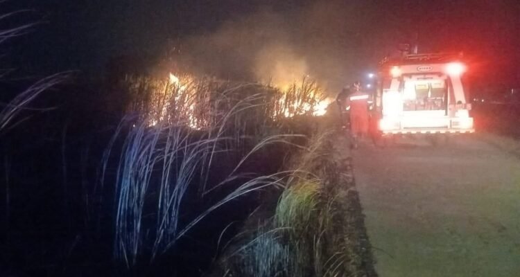 FOTO 16 Agustus_Kebakaran lahan yang terjadi di beberapa wilayah Kabupaten Klaten, Provinsi Jawa Tengah. dok. bpbdkab