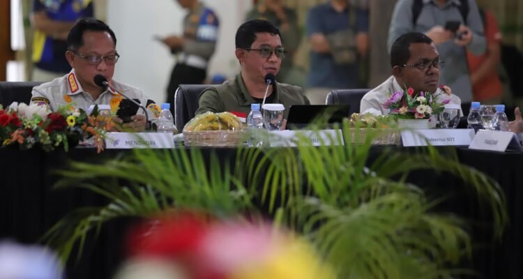 FOTO 16 Agustus_Kepala BNPB dalam rapat gempa NTT