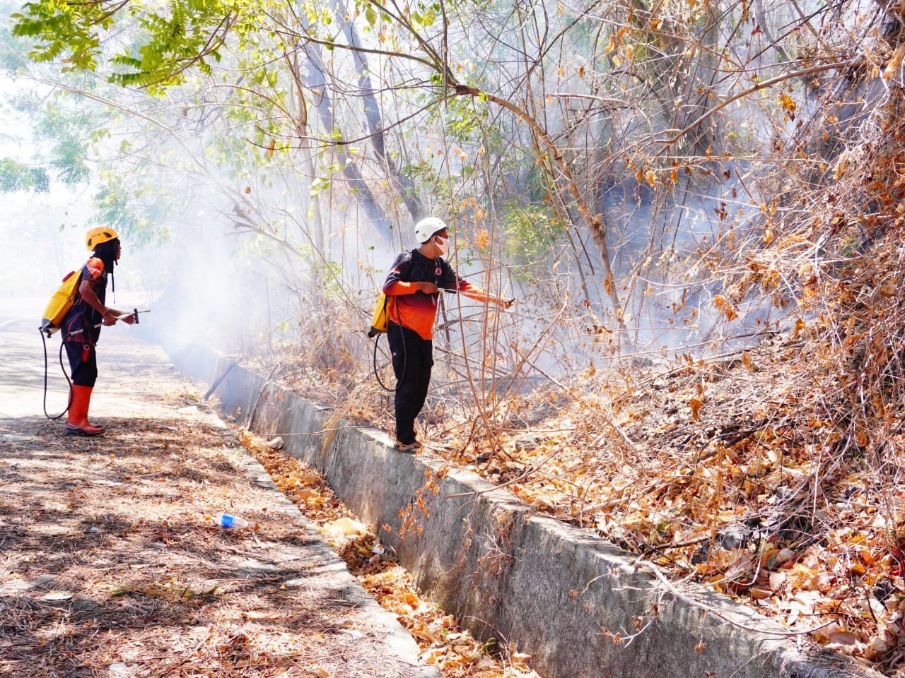 FOTO 19 Agustus_Personil gabungan memadamkan api pada lahan 3,25 hektare di Kab Bolaang Mongondow, Prov Sulawesi Utara. dok. bpbdkabupatenbolaangmongondow