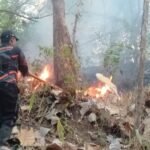 FOTO 21 Agustus_BPBD didukung unsur terkait melakukan upaya pemadaman di Desa Mategal dan Giripurno, Kabupaten Magetan, Provinsi Jawa Timur