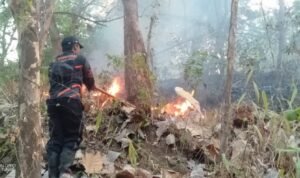 FOTO 21 Agustus_BPBD didukung unsur terkait melakukan upaya pemadaman di Desa Mategal dan Giripurno, Kabupaten Magetan, Provinsi Jawa Timur