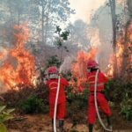 FOTO 22 Agustus_Petugas gabungan berupaya memadamkan api di Kecamatan Muara Bulian, Kabupaten Batang Hari, Provinsi Jambi . dok. bpbdkab