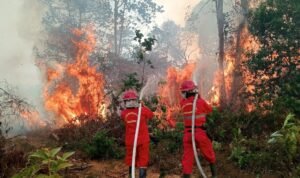 FOTO 22 Agustus_Petugas gabungan berupaya memadamkan api di Kecamatan Muara Bulian, Kabupaten Batang Hari, Provinsi Jambi . dok. bpbdkab