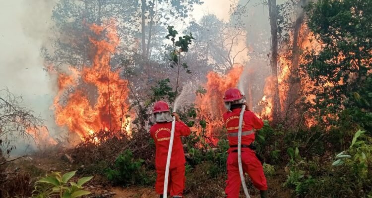 FOTO 22 Agustus_Petugas gabungan berupaya memadamkan api di Kecamatan Muara Bulian, Kabupaten Batang Hari, Provinsi Jambi . dok. bpbdkab
