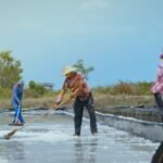 FOTO 23 Agustus_Para petani melakukan panen garam. dok. kkp