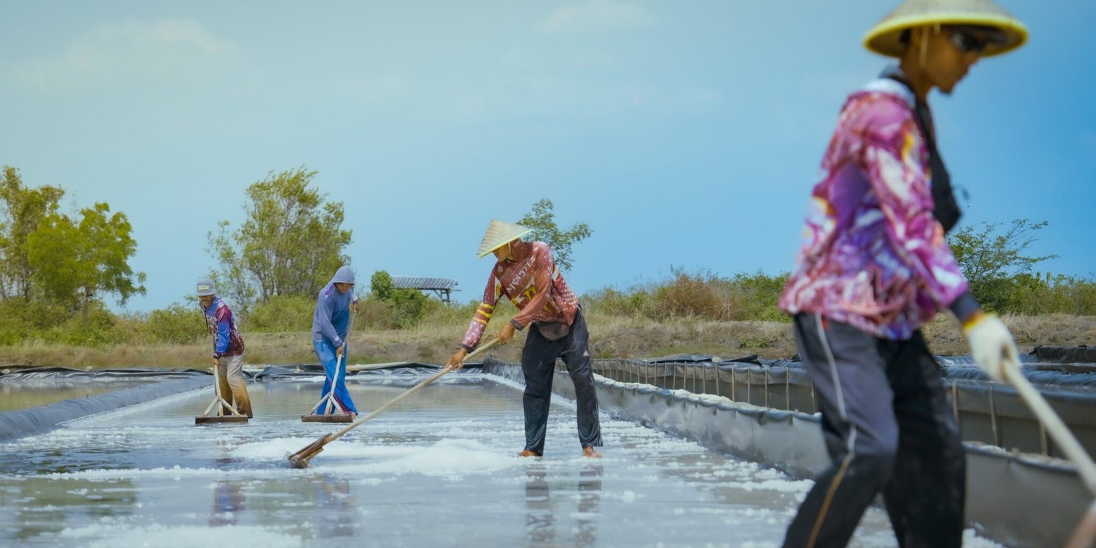FOTO 23 Agustus_Para petani melakukan panen garam. dok. kkp
