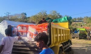 FOTO 24 Agustus_Bantuan logistik siap distribusi untuk warga terdampak gempa di Kecamatan Lamba Leda, Kabupaten Manggarai Timur, NTT. dok. bpbdkabupaten