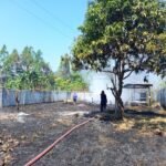 FOTO 24 Agustus_Kondisi dan upaya penanganan kebakaran lahan di Kabupaten Nabire, Papua Tengah. dok. bpbdkabupatennabire