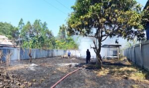 FOTO 24 Agustus_Kondisi dan upaya penanganan kebakaran lahan di Kabupaten Nabire, Papua Tengah. dok. bpbdkabupatennabire