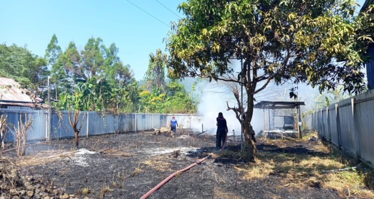 FOTO 24 Agustus_Kondisi dan upaya penanganan kebakaran lahan di Kabupaten Nabire, Papua Tengah. dok. bpbdkabupatennabire