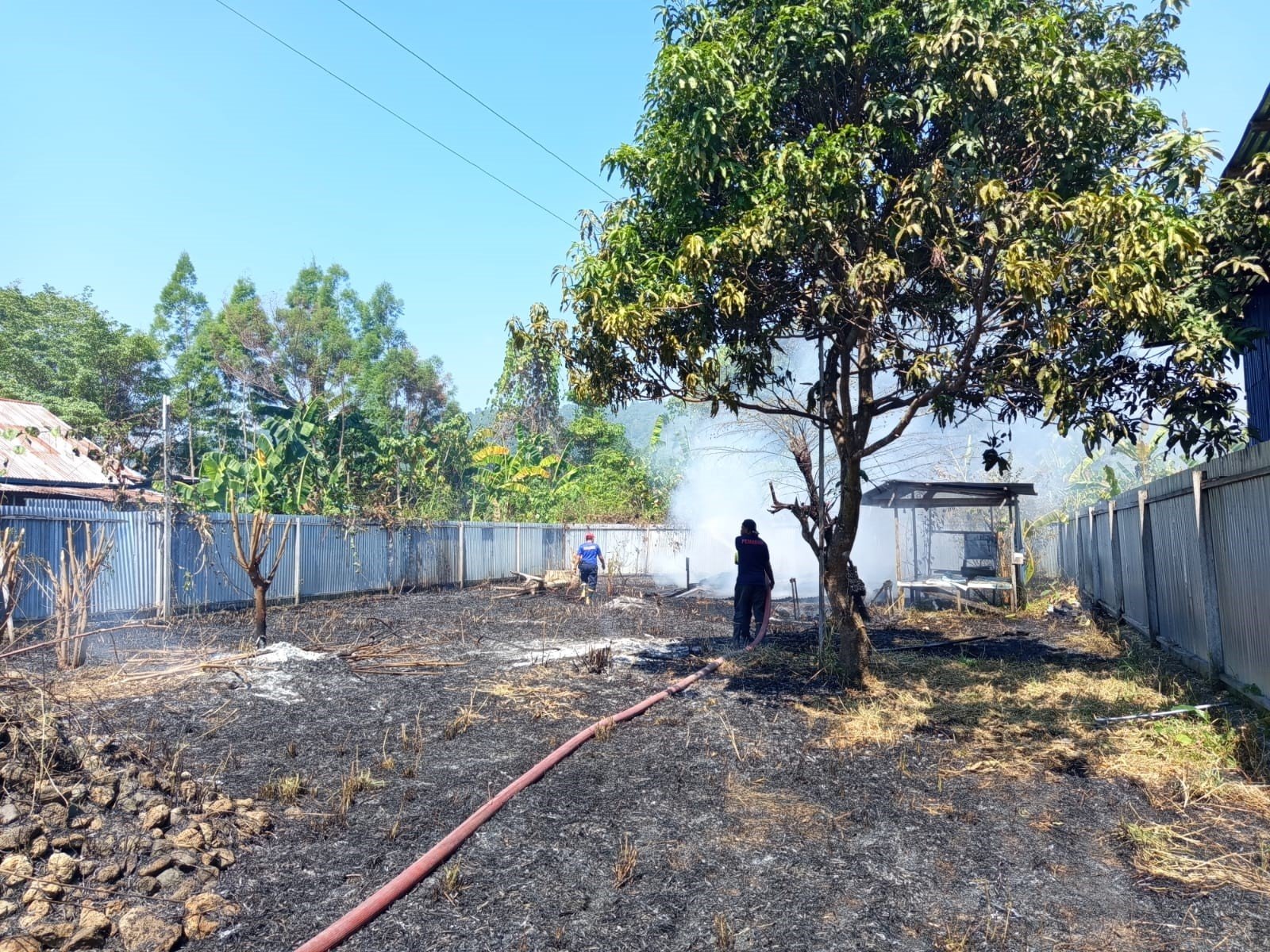 FOTO 24 Agustus_Kondisi dan upaya penanganan kebakaran lahan di Kabupaten Nabire, Papua Tengah. dok. bpbdkabupatennabire