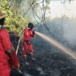 FOTO 24 Agustus_Upaya pemadaman karhutla oleh satgas darat di wilayah Kalimantan Tengah. dok. daopsmanggalaagnikalimantan