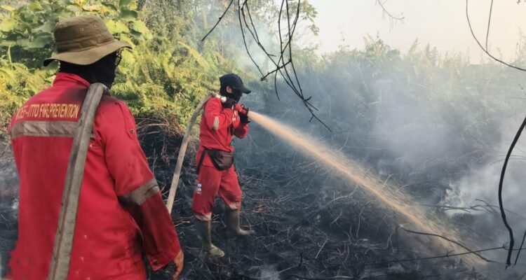 FOTO 24 Agustus_Upaya pemadaman karhutla oleh satgas darat di wilayah Kalimantan Tengah. dok. daopsmanggalaagnikalimantan