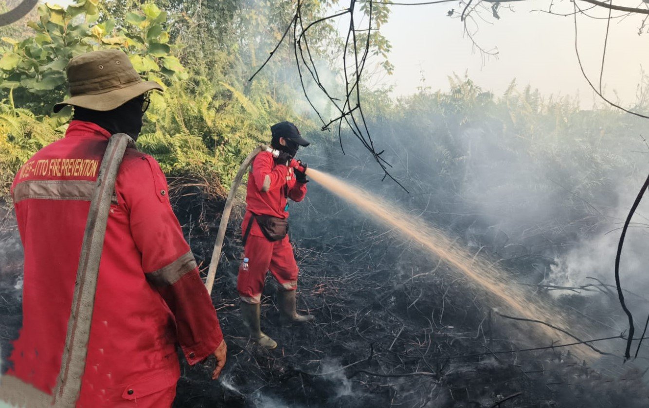 FOTO 24 Agustus_Upaya pemadaman karhutla oleh satgas darat di wilayah Kalimantan Tengah. dok. daopsmanggalaagnikalimantan