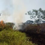 FOTO 26 Agustus_Karhutla yang terjadi pada Selasa (258) di Kabupaten Klaten, Jawa Tengah menimbulkan asap yang mengganggu aktivitas warga. bpbdkabupaten