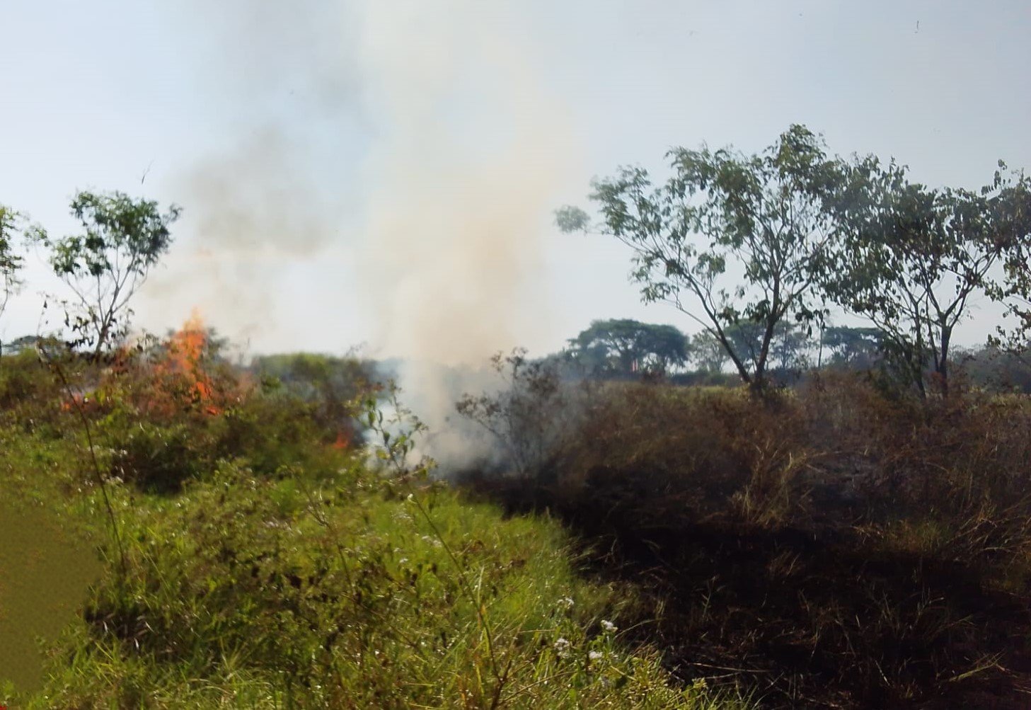 FOTO 26 Agustus_Karhutla yang terjadi pada Selasa (258) di Kabupaten Klaten, Jawa Tengah menimbulkan asap yang mengganggu aktivitas warga. bpbdkabupaten