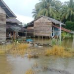 FOTO 26 Agustus_Kondisi banjir yang terjadi di Kecamatan Kasimbar, Kabupaten Parigi Moutong, Provinsi Sulawesi Tengah pada Senin (248). bpbdkab