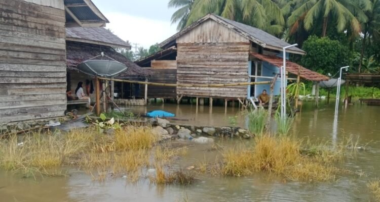 FOTO 26 Agustus_Kondisi banjir yang terjadi di Kecamatan Kasimbar, Kabupaten Parigi Moutong, Provinsi Sulawesi Tengah pada Senin (248). bpbdkab