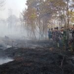FOTO 28 Agustus_Tim gabungan berupaya memadamkan kebakaran hutan dan lahan di Kabupaten Lingga, Provinsi Kepulauan Riau. dok. bpbdkabupatenlingga