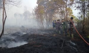 FOTO 28 Agustus_Tim gabungan berupaya memadamkan kebakaran hutan dan lahan di Kabupaten Lingga, Provinsi Kepulauan Riau. dok. bpbdkabupatenlingga