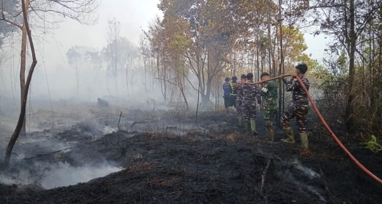 FOTO 28 Agustus_Tim gabungan berupaya memadamkan kebakaran hutan dan lahan di Kabupaten Lingga, Provinsi Kepulauan Riau. dok. bpbdkabupatenlingga