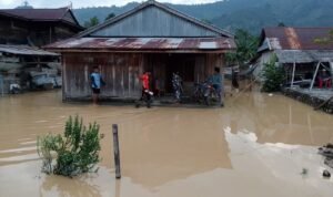 FOTO 29 Agustus_Wilayah terdampak banjir yang melanda Kecamatan Kasimbar di Kabupaten Parigi Moutong, Provinsi Sulawesi Tengah. dok. bpbdkab