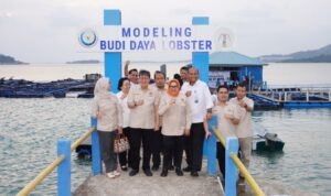 FOTO 3 Agustus_Kunjungan ke lokasi Modeling Budi Daya Lobster di Balai Perikanan Budi Daya Laut (BPBL) Batam. dok. kkp
