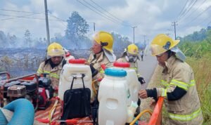 FOTO 3 Agustus_Upaya pemadaman lahan seluas 3 hektar yang melanda Desa Air Kelik, Kecamatan Damar, Kabupaten Belitung Timur, Provinsi Bangka Belitung