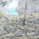 FOTO 30 Agustus_Kondisi lahan yang terbakar di Kampung Uning Gelime, Kecamatan Weh Pesam, Kabupaten Bener Meriah, Provinsi Aceh. dok. bpbdkab