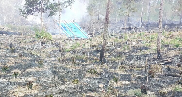 FOTO 30 Agustus_Kondisi lahan yang terbakar di Kampung Uning Gelime, Kecamatan Weh Pesam, Kabupaten Bener Meriah, Provinsi Aceh. dok. bpbdkab