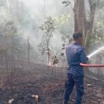 FOTO 31 Agustus_Petugas memadamkan kebakaran lahan di Desa Madenra, Kecamatan Kulo Kabupaten Sidenreng Rappang, Sulawesi Selatan. dok.bpbdkabupatensidenrengrappang