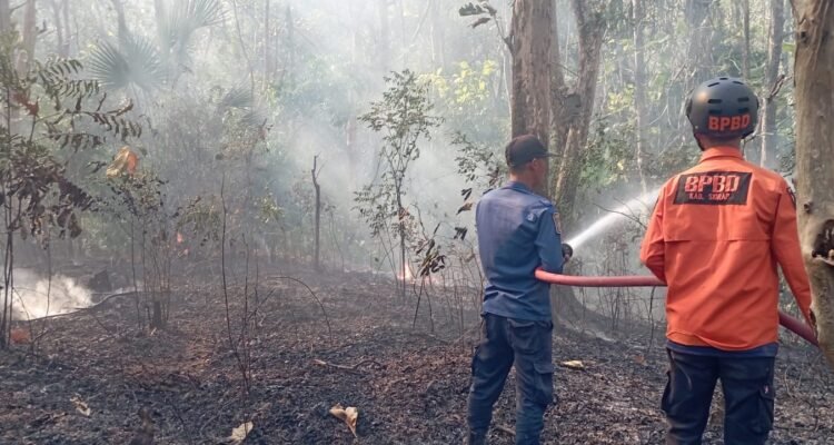FOTO 31 Agustus_Petugas memadamkan kebakaran lahan di Desa Madenra, Kecamatan Kulo Kabupaten Sidenreng Rappang, Sulawesi Selatan. dok.bpbdkabupatensidenrengrappang