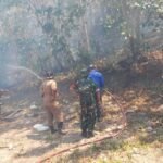 FOTO 4 Agustus_Petugas gabungan memadamkan kebakaran hutan dan lahan di Desa Sabbang Paru, Kecamatan Lembang, Kabupaten Pinrang, Sulawesi Selatan. bpbdkab